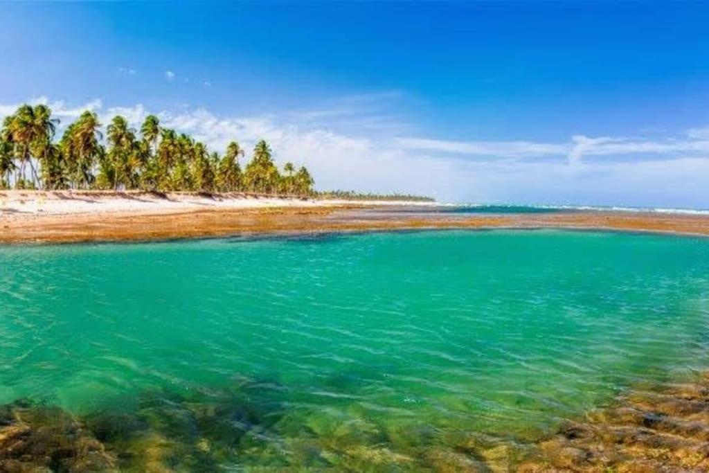 Piscinas Naturais de Praia do Forte Exterior foto